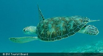 caribbean.guide.attractions.nature