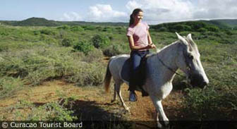 caribbean.guide.why.not.go.curacao