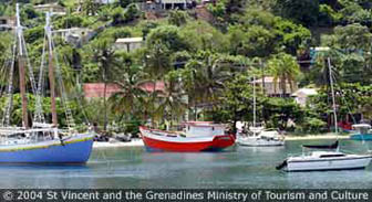 caribbean.guide.why.not.go.st.vincent