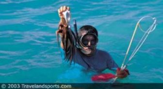puertorico.guide.activities.diving.and.snorkeling