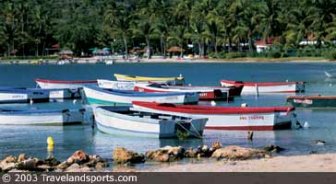 puertorico.guide.activities.fishing.and.chartering