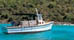 Puerto Rico's Ferries and Boats