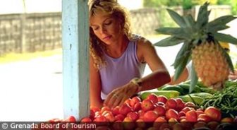 grenada.guide.food.culinary.styles