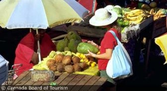 grenada.guide.planning.your.trip.budgeting