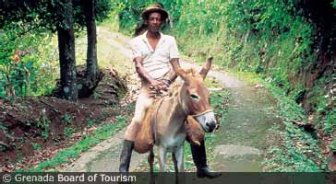 grenada.guide.travel.basics.tourist.offices