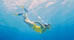 Info on the Virgin Islands