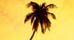 When to Visit the Virgin Islands