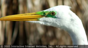 dominicanrepublic.guide.accommodations.camping.and.eco.tourism