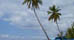 When to Visit the Dominican Republic
