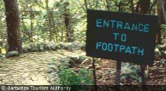 barbados.guide.accommodations.camping.and.eco.tourism