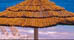 Gathering Information about Barbados