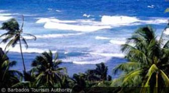 barbados.guide.planning.your.trip.making.decisions