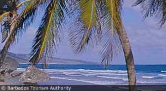 barbados.guide.planning.your.trip.when.to.go