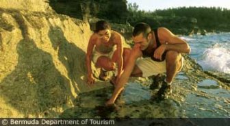 bermuda.guide.accommodations.camping.and.eco.tourism