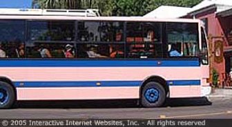bermuda.guide.getting.around.buses