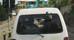 Driving Throughout Bermuda