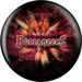 Viz-A-Ball Tampa Bay Buccaneers 2007 Image