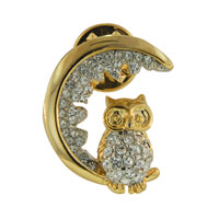 Brooches & Pins - owl moon brooch Image.