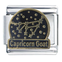 Italian Charms - constellation capricorn italian charm Image.