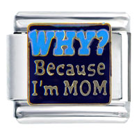 Italian Charms - why because i'm mom italian charm Image.
