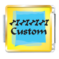 Italian Charms - blue ice custom photo italian charm Image.