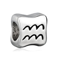 European Beads - zodiac aquarius silver plated european beads Image.