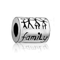 European Beads - family life fit all brands silver plated beads charms bracelets Image.