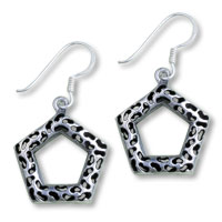 Sterling Silver Jewelry - pentagon 925 sterling silver earrings Image.