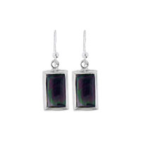 Earrings - abalone earrings Image.