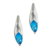 Earrings - fancy curved aqua blue earrings Image.