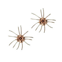Sterling Silver Jewelry - sterling silver blossoming two tone flower earrings Image.