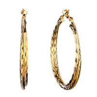 Earrings - pretty double golden hoop earrings Image.