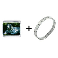 Pugster Gift Center - white tiger resting combination italian charm bracelet Image.