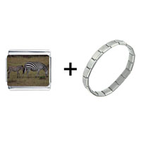 Pugster Gift Center - zebra family combination italian charm bracelet Image.