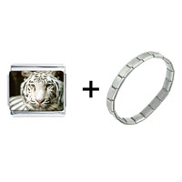 Pugster Gift Center - white tiger combination italian charm bracelet Image.