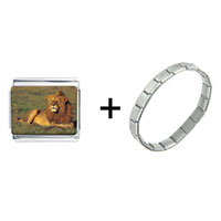Pugster Gift Center - lying lion combination italian charm bracelet Image.