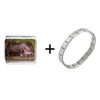 Pugster Gift Center - hippo family combination italian charm bracelet Image.