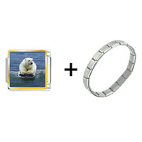 Pugster Gift Center - boogie boarding polar bear combination italian charm bracelet Image.