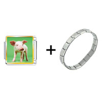 Pugster Gift Center - pig combination italian charm bracelet Image.