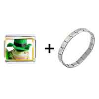 Pugster Gift Center - st patricks day frog combination italian charm bracelet Image.