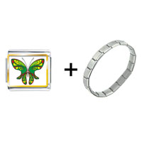 Pugster Gift Center - exotic green butterfly combination italian charm bracelet Image.