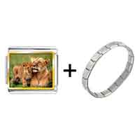 Pugster Gift Center - gold plated animal cub photo italian charm bracelets combination Image.