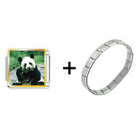 Pugster Gift Center - panda bear and bamboo combination italian charm bracelet Image.