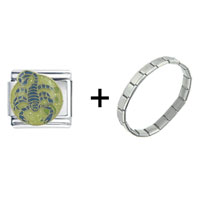 Pugster Gift Center - scorpio combination italian charm bracelet Image.