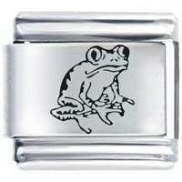 Italian Charms - laser frog italian charm Image.