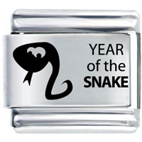 Italian Charms - year of the snake laser italian charm Image.