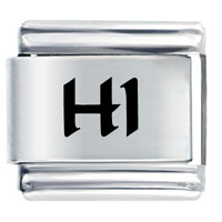 Italian Charms - hi hawaii state laser italian charm Image.