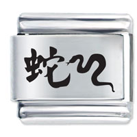 Italian Charms - chinese letter of the snake laser italian charm Image.