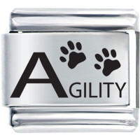 Italian Charms - agility laser italian charm l_sh101 Image.