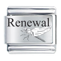 Italian Charms - renewal and white dragonfly laser italian charm Image.